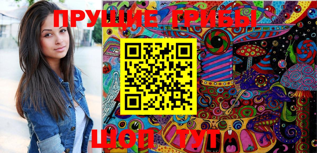 Ревда  Псилоцибиновые грибы MAGIC MUSHROOMS  Вход с VPN 