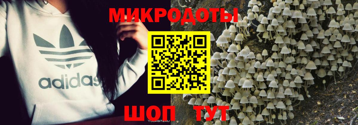 Галлюциногенные грибы мухоморы Ревда